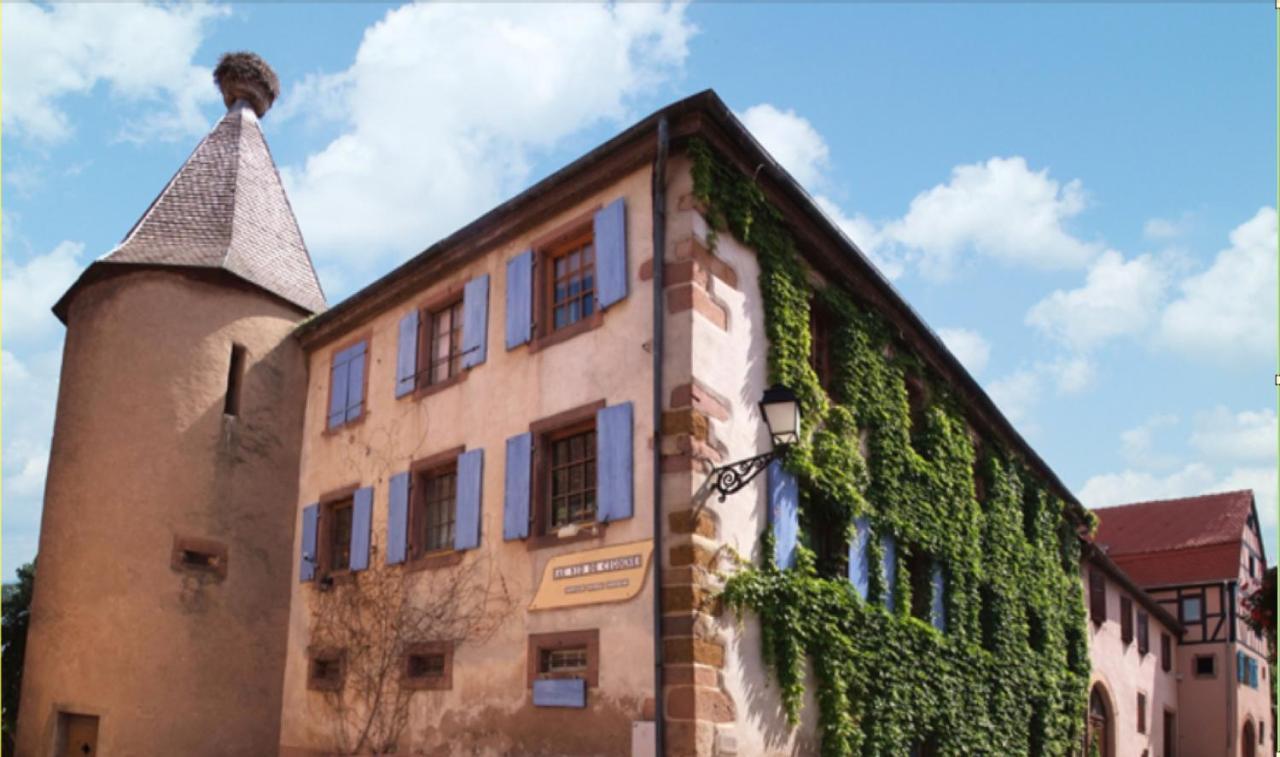 Au Nid De Cigogne Apartment Zellenberg Bagian luar foto