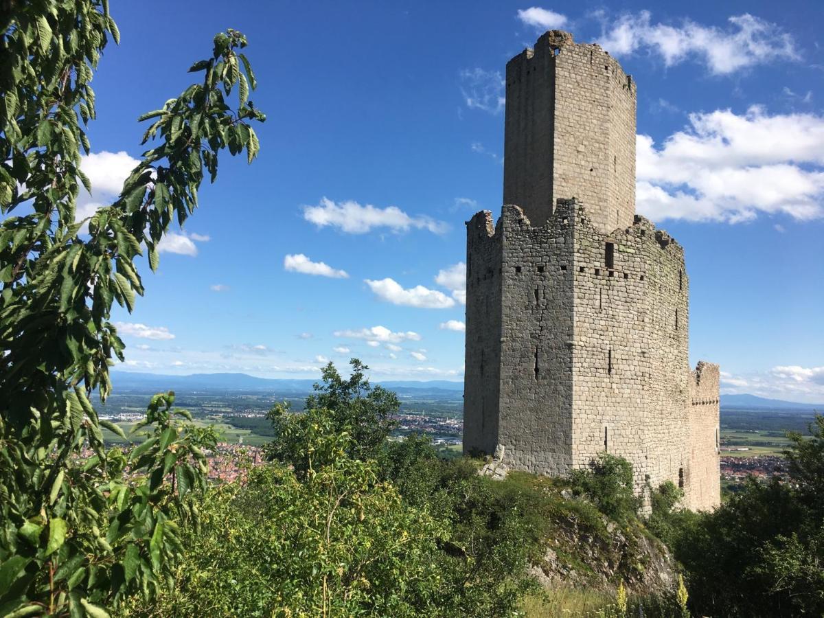 Au Nid De Cigogne Apartment Zellenberg Bagian luar foto