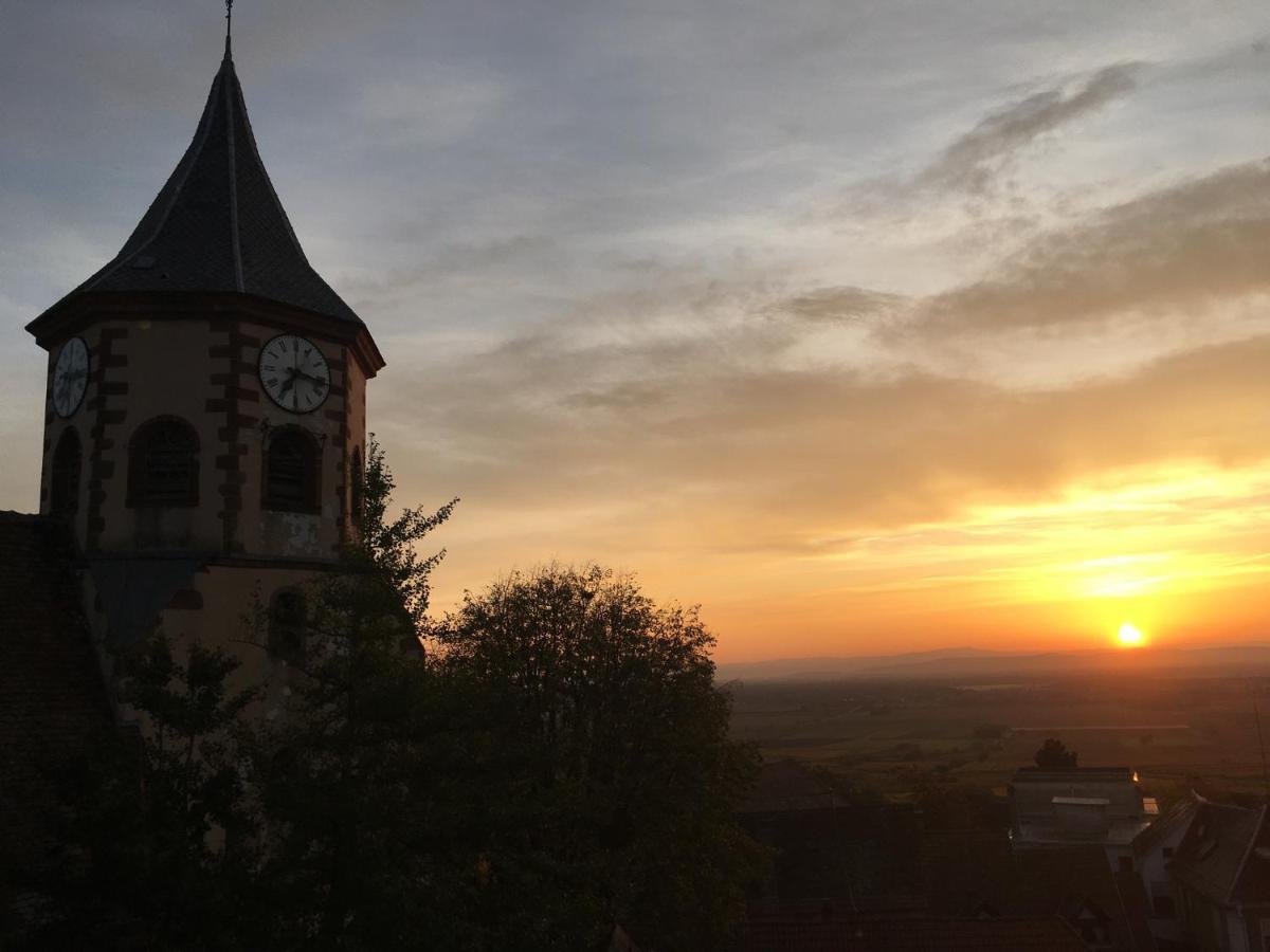 Au Nid De Cigogne Apartment Zellenberg Bagian luar foto