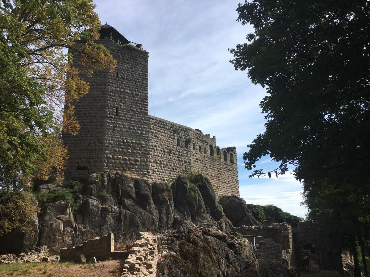 Au Nid De Cigogne Apartment Zellenberg Bagian luar foto