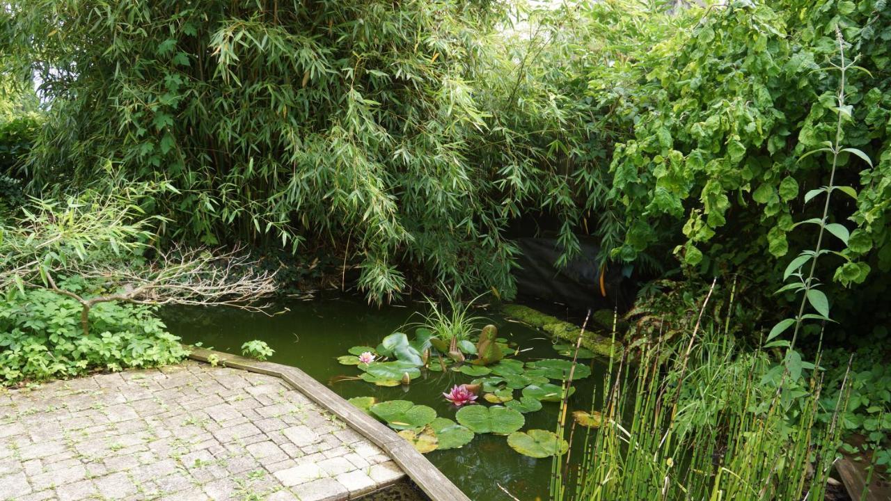 Au Nid De Cigogne Apartment Zellenberg Bagian luar foto